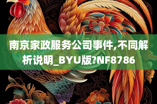 南京家政服务公司事件,不同解析说明_BYU版?NF8786