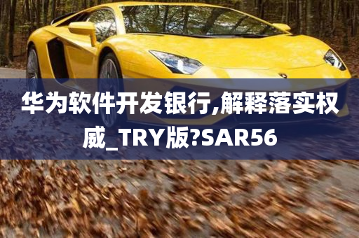 华为软件开发银行,解释落实权威_TRY版?SAR56