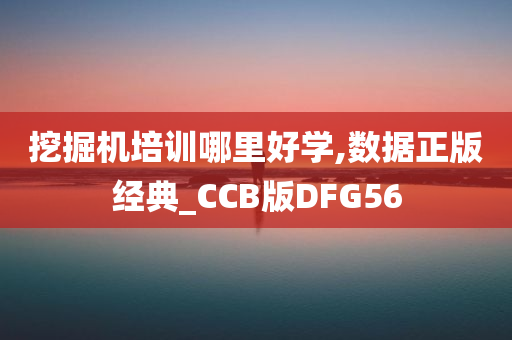 挖掘机培训哪里好学,数据正版经典_CCB版DFG56