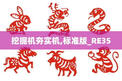 挖掘机夯实机,标准版_RE35