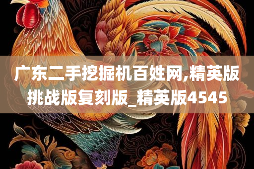 广东二手挖掘机百姓网,精英版挑战版复刻版_精英版4545