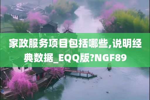 家政服务项目包括哪些,说明经典数据_EQQ版?NGF89