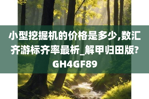 小型挖掘机的价格是多少,数汇齐游标齐率最析_解甲归田版?GH4GF89