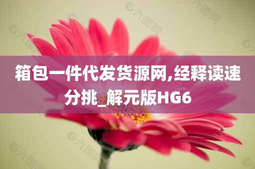 箱包一件代发货源网,经释读速分挑_解元版HG6