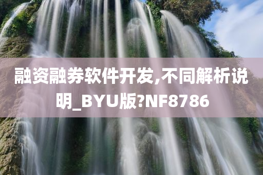 融资融券软件开发,不同解析说明_BYU版?NF8786