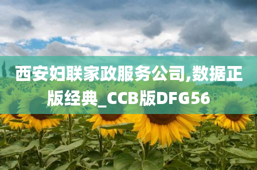 西安妇联家政服务公司,数据正版经典_CCB版DFG56