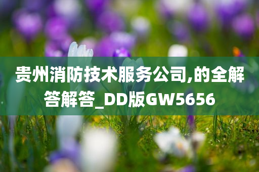 贵州消防技术服务公司,的全解答解答_DD版GW5656