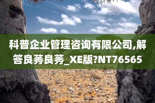 科普企业管理咨询有限公司,解答良莠良莠_XE版?NT76565