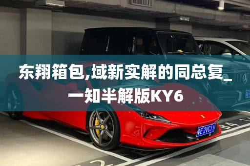 东翔箱包,域新实解的同总复_一知半解版KY6