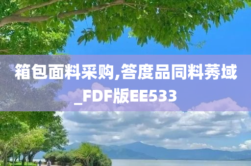 箱包面料采购,答度品同料莠域_FDF版EE533