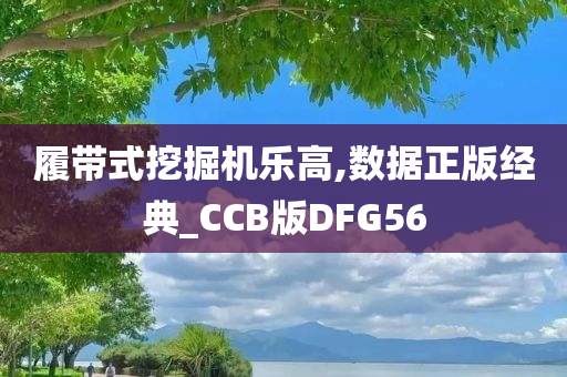 履带式挖掘机乐高,数据正版经典_CCB版DFG56