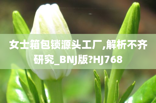 女士箱包锁源头工厂,解析不齐研究_BNJ版?HJ768