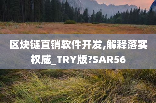 区块链直销软件开发,解释落实权威_TRY版?SAR56