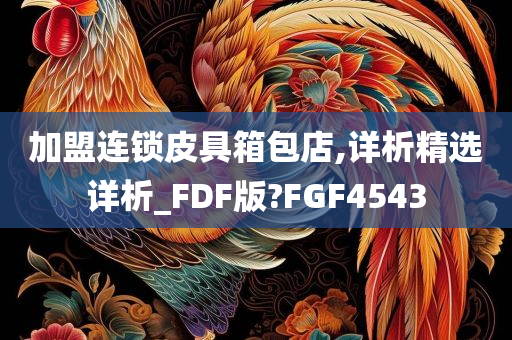 加盟连锁皮具箱包店,详析精选详析_FDF版?FGF4543