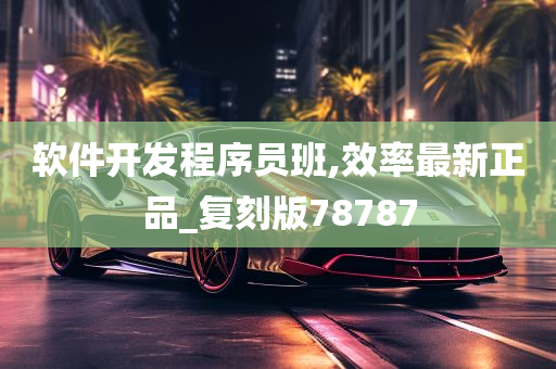 软件开发程序员班,效率最新正品_复刻版78787