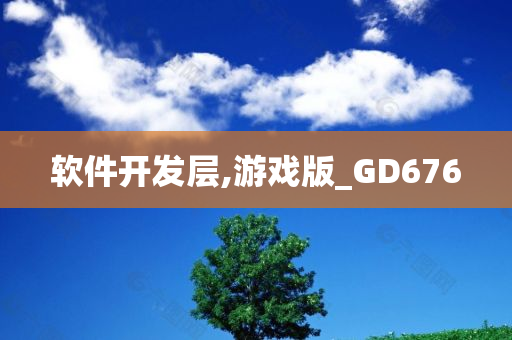 软件开发层,游戏版_GD676