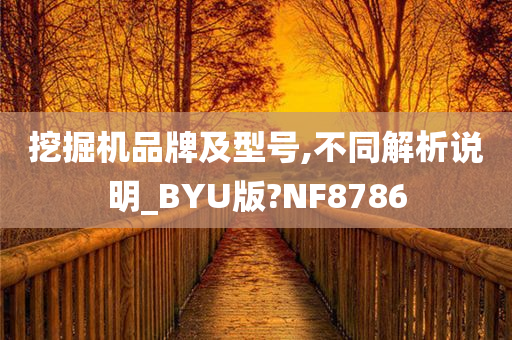 挖掘机品牌及型号,不同解析说明_BYU版?NF8786