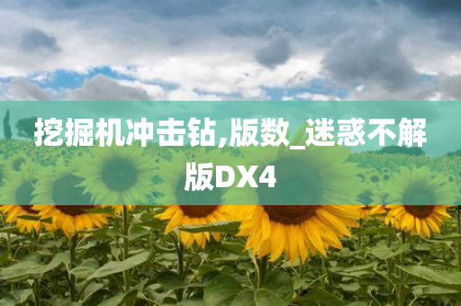 挖掘机冲击钻,版数_迷惑不解版DX4