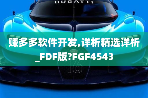 赚多多软件开发,详析精选详析_FDF版?FGF4543