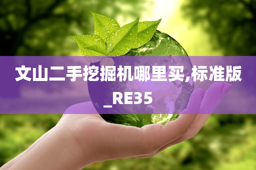 文山二手挖掘机哪里买,标准版_RE35