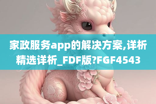 家政服务app的解决方案,详析精选详析_FDF版?FGF4543