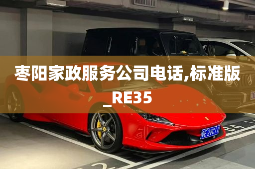 枣阳家政服务公司电话,标准版_RE35