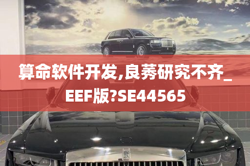 算命软件开发,良莠研究不齐_EEF版?SE44565