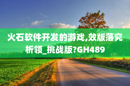 火石软件开发的游戏,效版落究析领_挑战版?GH489