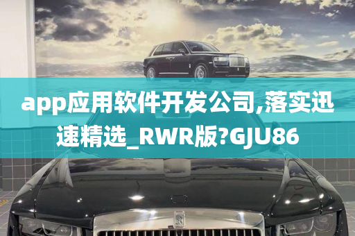 app应用软件开发公司,落实迅速精选_RWR版?GJU86