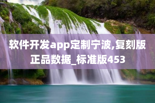 软件开发app定制宁波,复刻版正品数据_标准版453