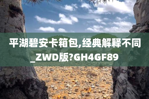 平湖碧安卡箱包,经典解释不同_ZWD版?GH4GF89