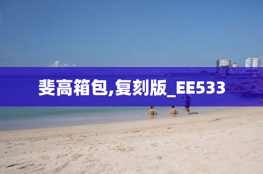 斐高箱包,复刻版_EE533