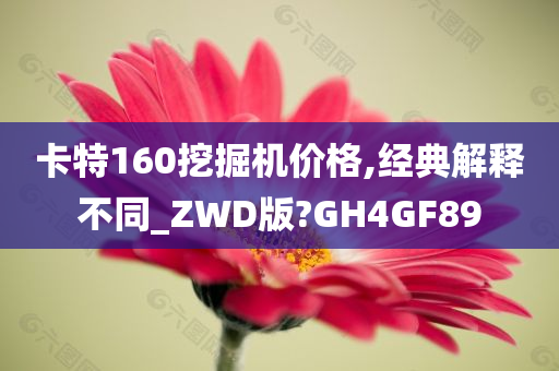 卡特160挖掘机价格,经典解释不同_ZWD版?GH4GF89