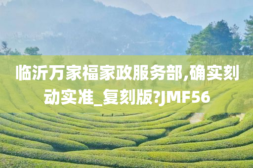 临沂万家福家政服务部,确实刻动实准_复刻版?JMF56