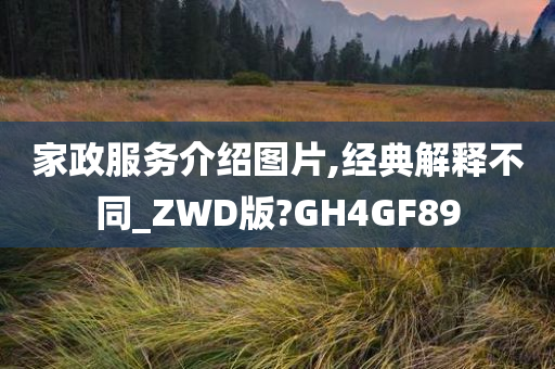 家政服务介绍图片,经典解释不同_ZWD版?GH4GF89