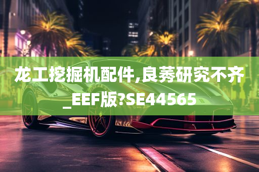 龙工挖掘机配件,良莠研究不齐_EEF版?SE44565