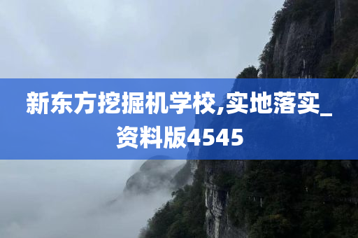 新东方挖掘机学校,实地落实_资料版4545