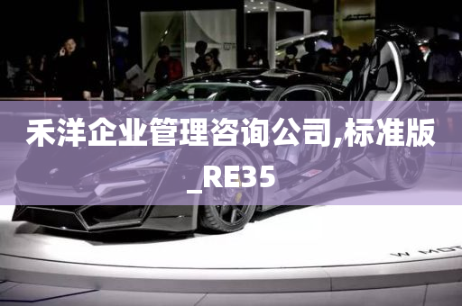 禾洋企业管理咨询公司,标准版_RE35