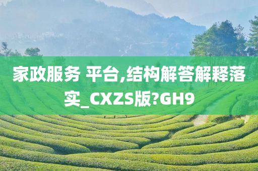 家政服务 平台,结构解答解释落实_CXZS版?GH9