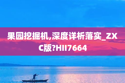 果园挖掘机,深度详析落实_ZXC版?HII7664