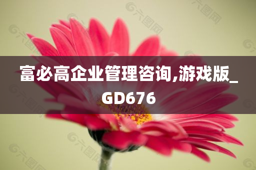 富必高企业管理咨询,游戏版_GD676