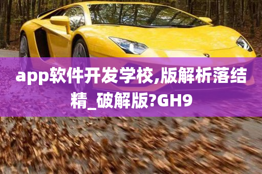 app软件开发学校,版解析落结精_破解版?GH9