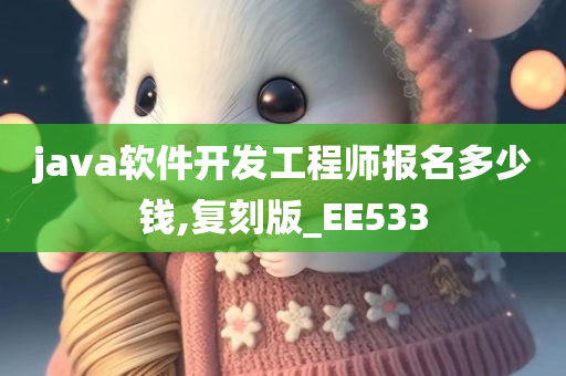 java软件开发工程师报名多少钱,复刻版_EE533