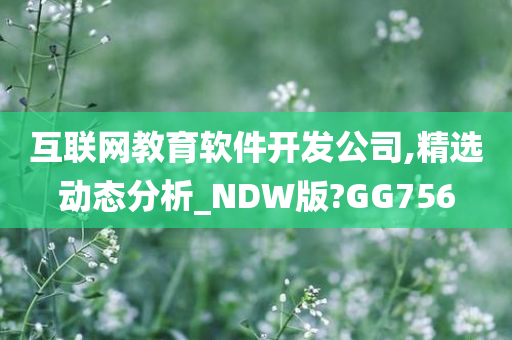 互联网教育软件开发公司,精选动态分析_NDW版?GG756