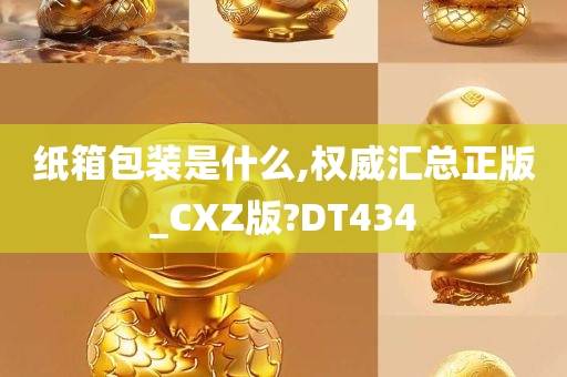 纸箱包装是什么,权威汇总正版_CXZ版?DT434