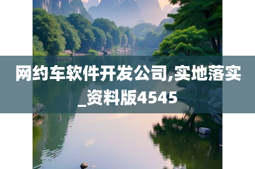 网约车软件开发公司,实地落实_资料版4545