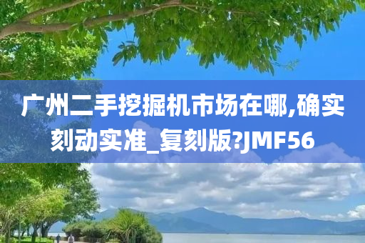 广州二手挖掘机市场在哪,确实刻动实准_复刻版?JMF56