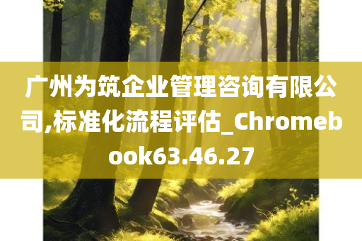 广州为筑企业管理咨询有限公司,标准化流程评估_Chromebook63.46.27