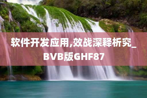 软件开发应用,效战深释析究_BVB版GHF87