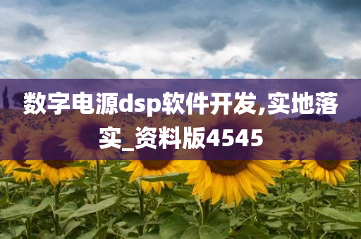 数字电源dsp软件开发,实地落实_资料版4545